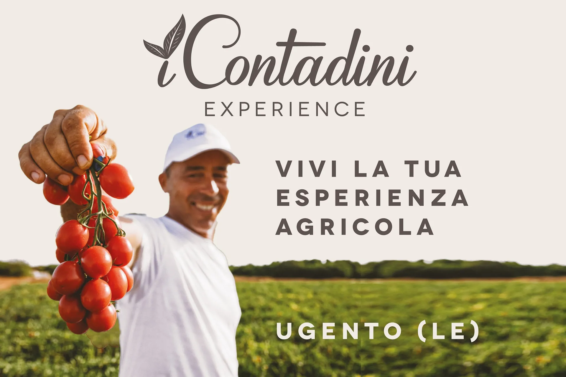 Esperienza I Contadini tra gli ulivi del Salento