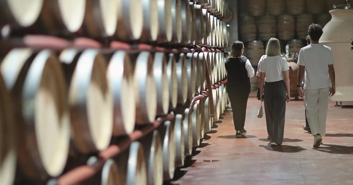 Brindisi con i vini della cantina Conti Zecca